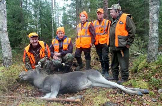 Karin ja Jonnen ensimmäinen hirvikaato