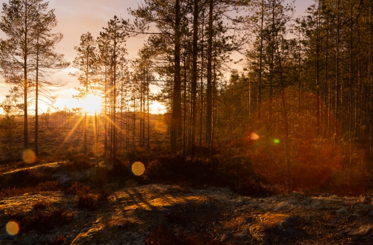 Auringonlasku suolla