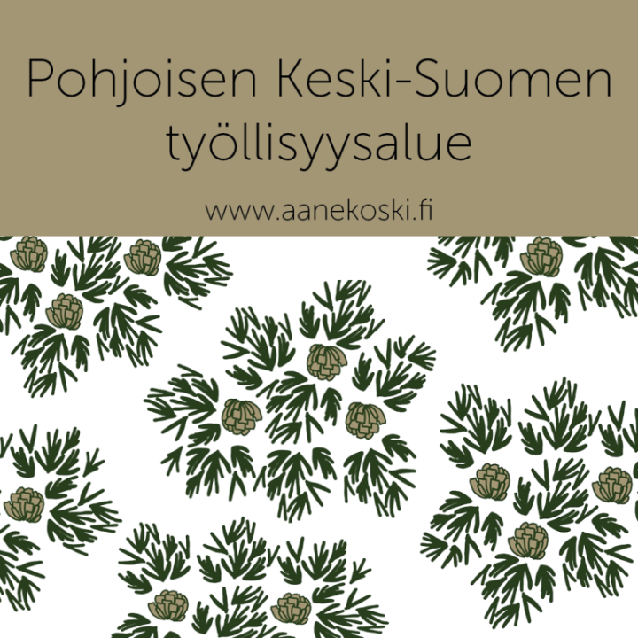 Pohjoisen Keski-Suomen työllisyysalue.