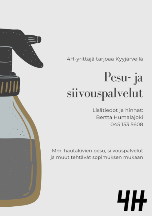 Pesu- ja siivouspalvelut