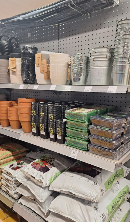 Kipakkaan saapunut annossiemenet! Saatavilla myös valikoima erilaisia ruukkuja.