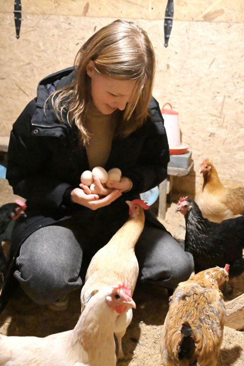 Navettaan on tehty tilat kanoille.