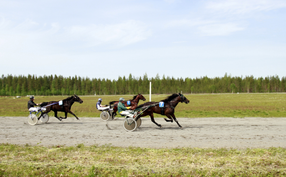 Tiukkoja lopppusuoran taisteluita.