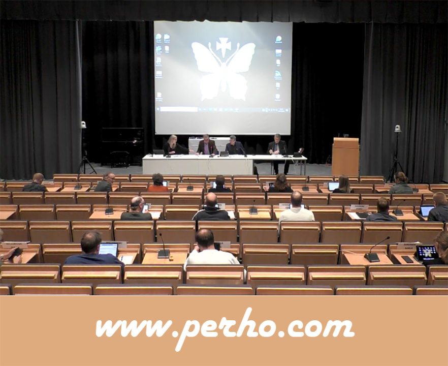 perhon valtuustosali.