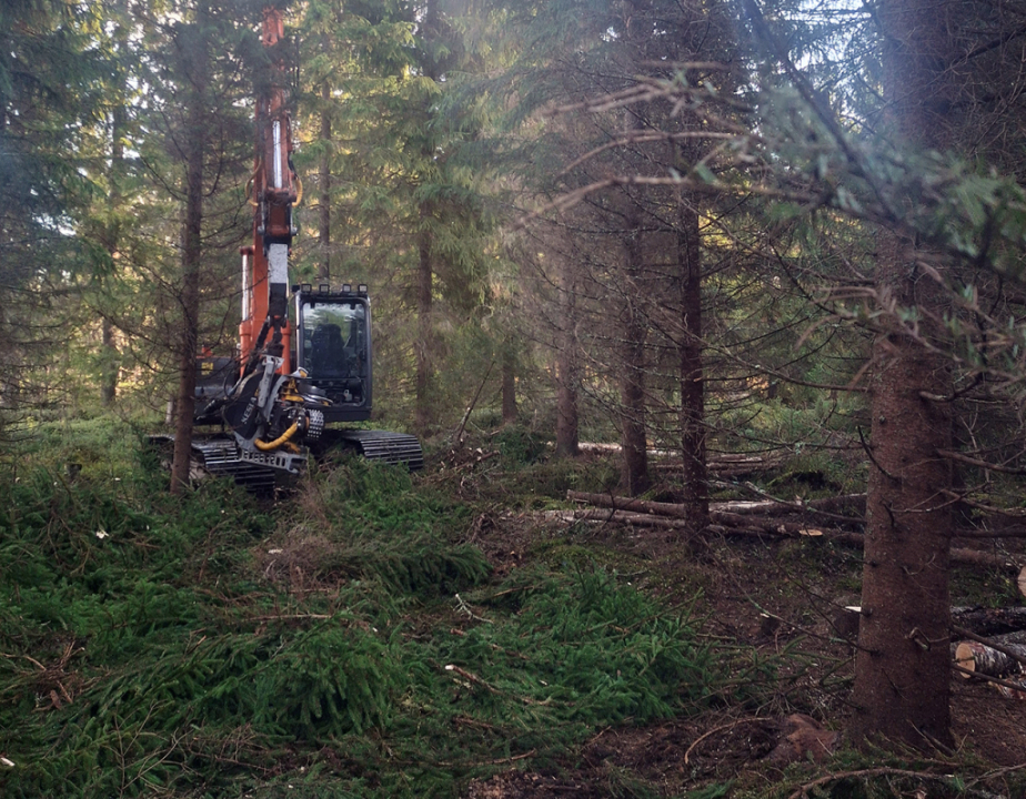 Koneurakointi V&K Oy hakkuutyömaa.