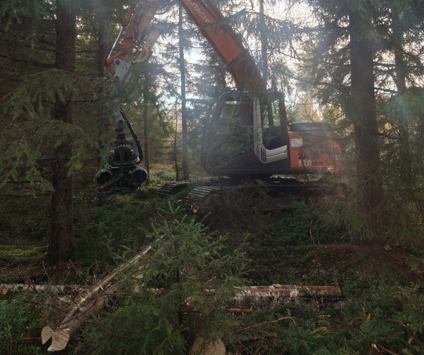 Koneurakointi V&K Oy hakkuutyömaa.