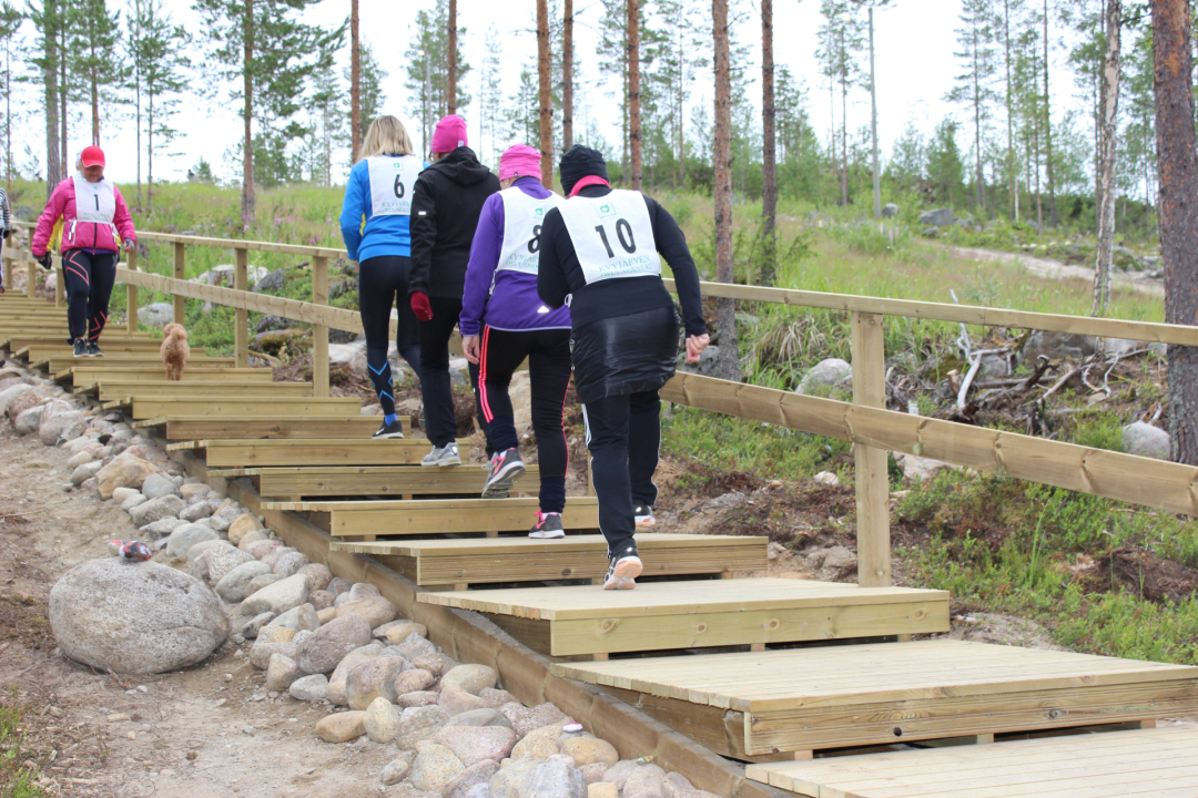 Kuva-albumista Harsunportaat 7/2019_Tanja K