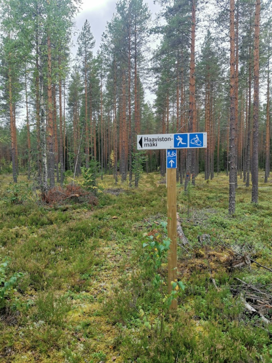 Haavistonmäelle pisto - polku-ura jatkuu Kangaslammelle