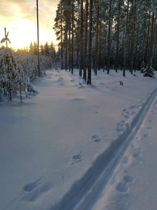 liukulumihiihtoa