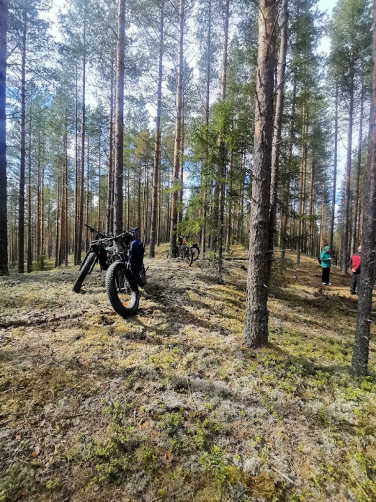 Osa osallistujista saapui Kotasuon laavulle pyörällä – maisemista ja reitistä nauttien koko matkan.
