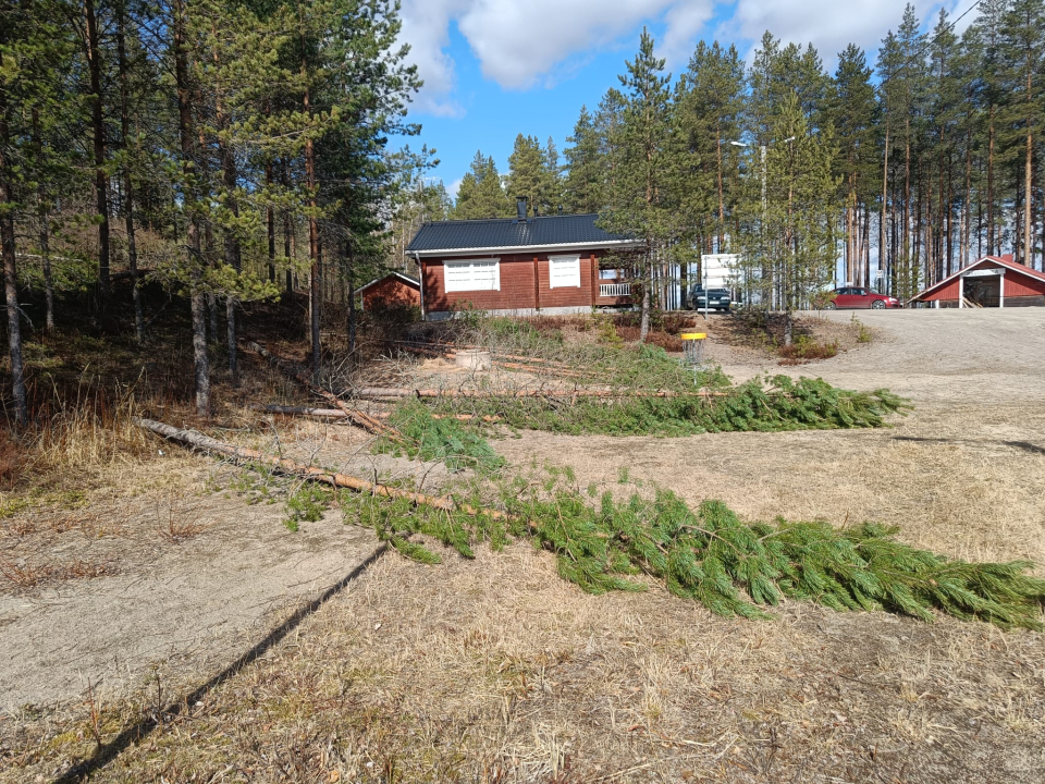 Raivaus tehtiin Harsunkankaan hiihtomajan läheisyydestä