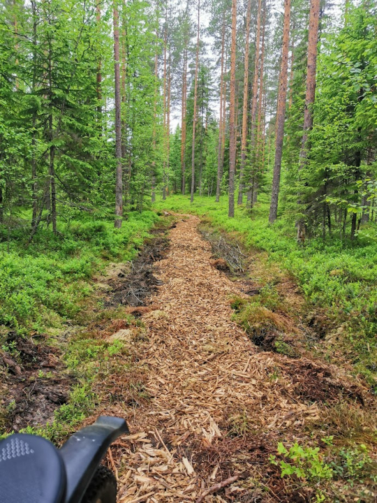 Hakematto reitillä