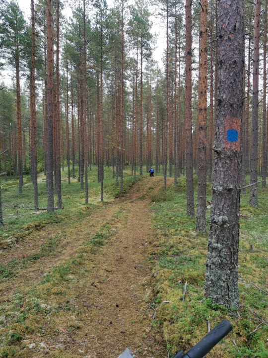 Reittimerkit maastossa