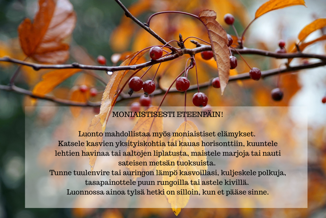 Moniaistisesti eteenpäin