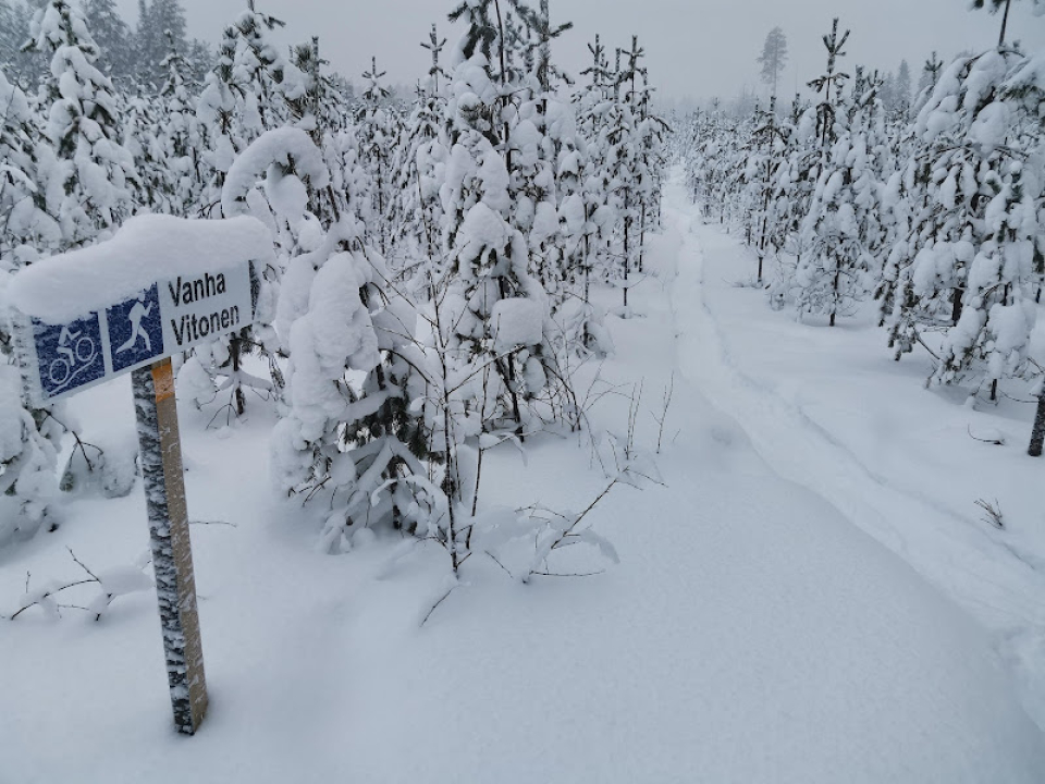 polku ja merkki