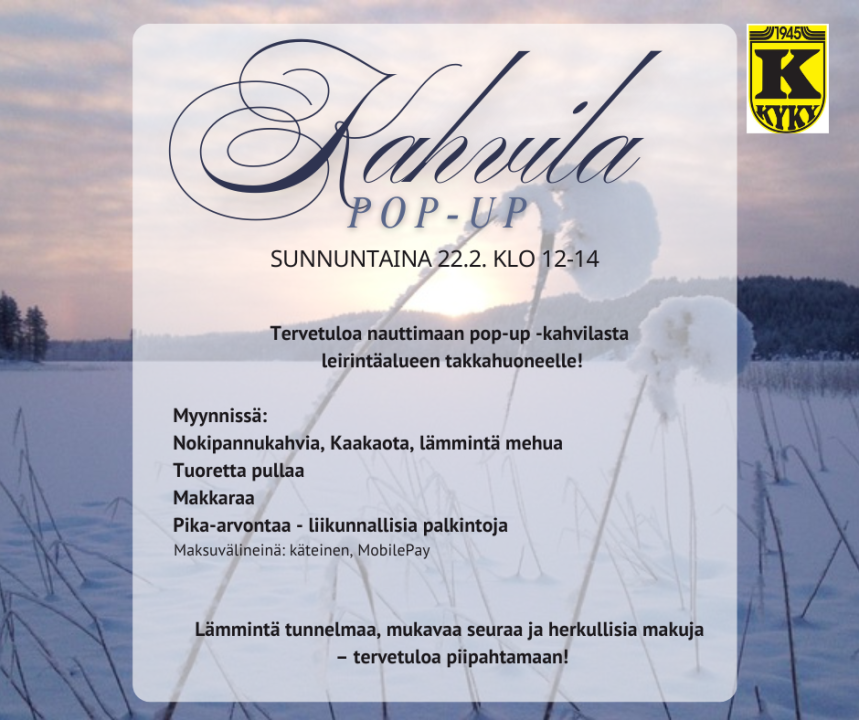 Talvinen kuva järveltä