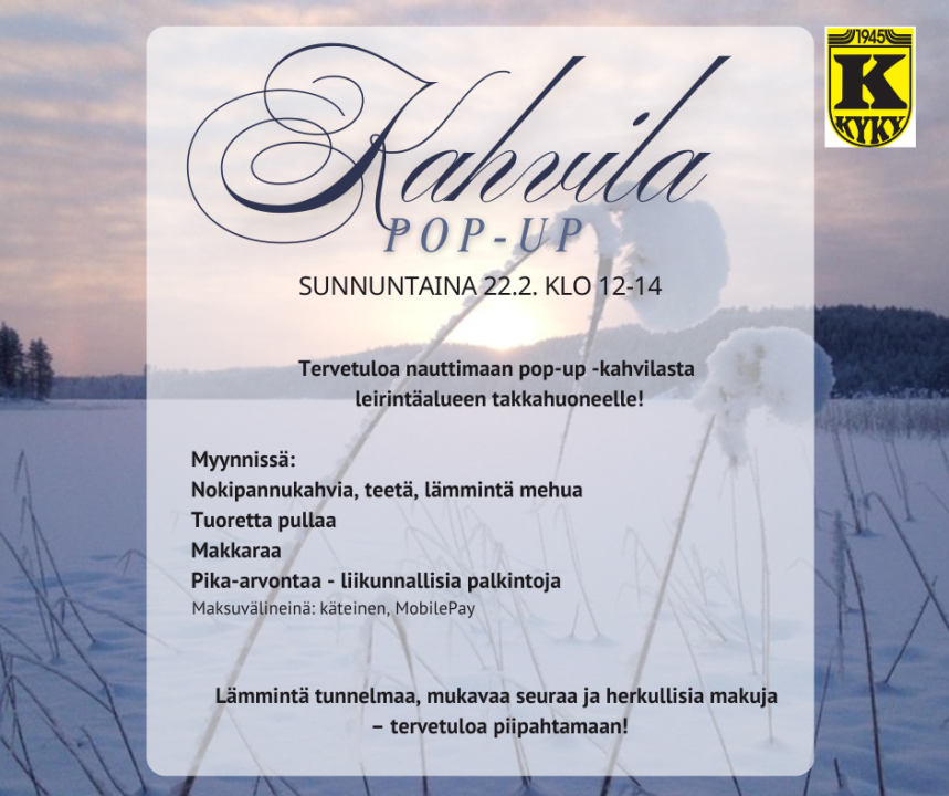 Talvinen kuva järveltä