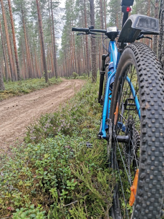 pyörä maastossa