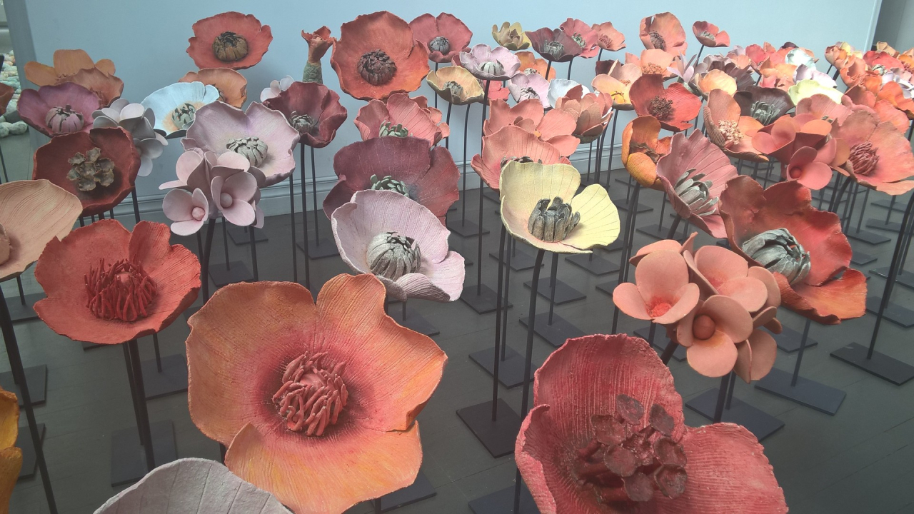 Onnittelukukat Kukkia