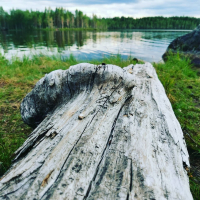 Vuosikokous kutsuu jäseniään 